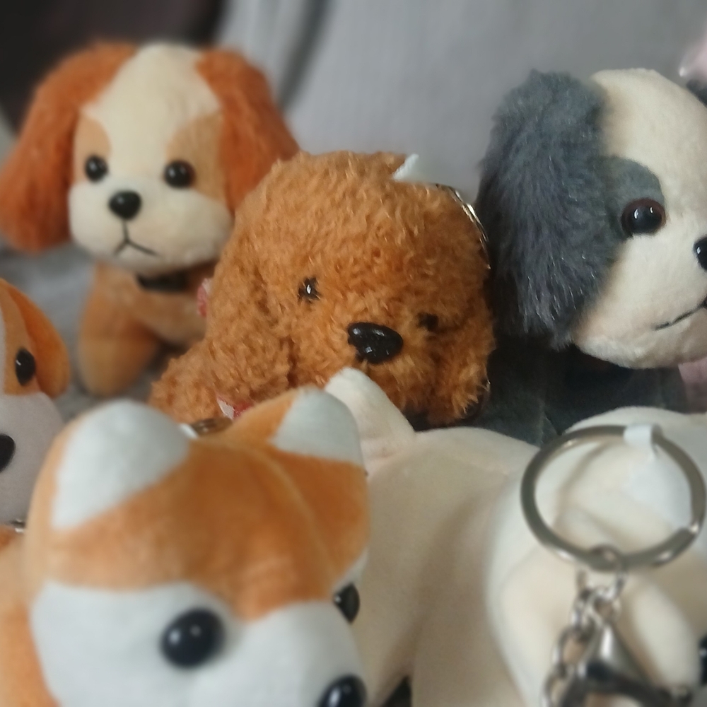 Minipuppy key chane